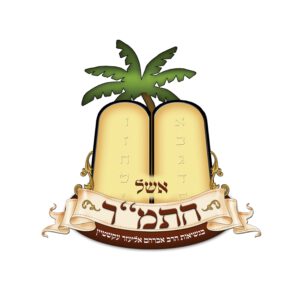 לוגו התמר